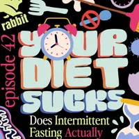 Your Diet Sucks artwork