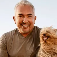 Celebrity Interviews with Joey Mitchell artwork