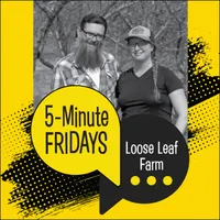 5-Minute Fridays artwork