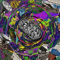 GandM - AI Deep Dives artwork