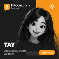 Bitcoin.com News Interviews artwork