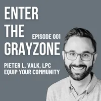Enter the Grayzone artwork