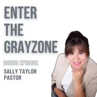 Enter the Grayzone artwork