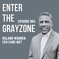 Enter the Grayzone artwork