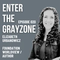 Enter the Grayzone artwork