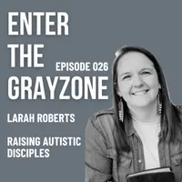 Enter the Grayzone artwork