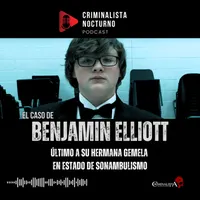 CRIMINALISTA NOCTURNO artwork