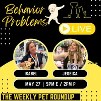 The Pet Parenting Reset artwork