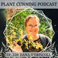 Plant Cunning Podcast artwork