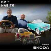 DVTV artwork