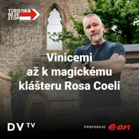DVTV artwork