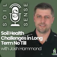 Soil Sense artwork