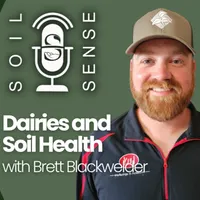 Soil Sense artwork
