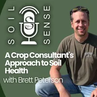 Soil Sense artwork
