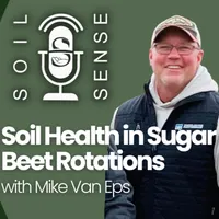 Soil Sense artwork