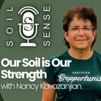 Soil Sense artwork