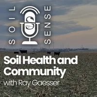 Soil Sense artwork