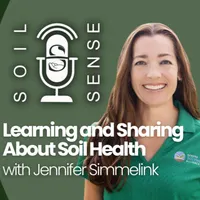 Soil Sense artwork