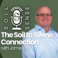 Soil Sense artwork