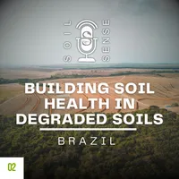 Soil Sense artwork