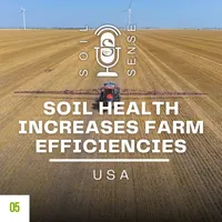 Soil Sense artwork