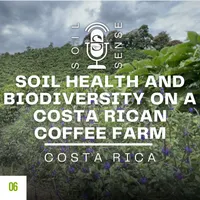 Soil Sense artwork