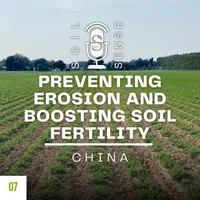 Soil Sense artwork