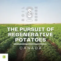 Soil Sense artwork