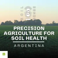Soil Sense artwork