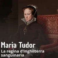 Studia Rapido podcast artwork