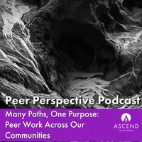 Peer Perspective artwork