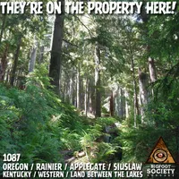 Bigfoot Society artwork