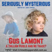 Seriously Mysterious - Missing Persons, Unsolved Murders & Historical True Crime artwork