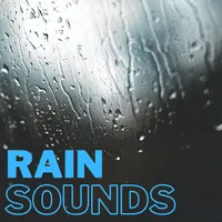 Rain Sounds artwork