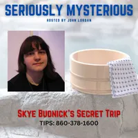 Seriously Mysterious - Missing Persons, Unsolved Murders & Historical True Crime artwork