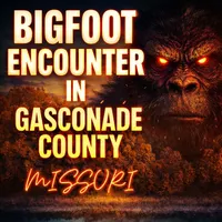 SASQUATCH THEORY artwork