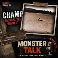 MonsterTalk artwork