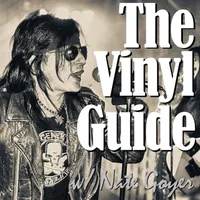 The Vinyl Guide artwork