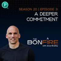 The Bonfire with Jesse Bradley artwork