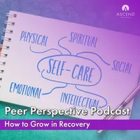 Peer Perspective artwork