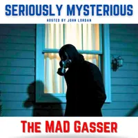 Seriously Mysterious - Missing Persons, Unsolved Murders & Historical True Crime artwork