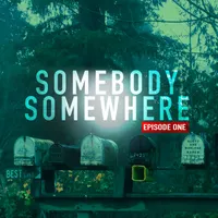 Somebody Somewhere artwork