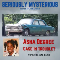 Seriously Mysterious - Missing Persons, Unsolved Murders & Historical True Crime artwork