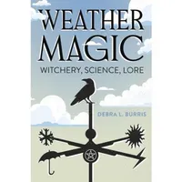 Desperate House Witches artwork
