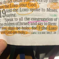 Simple Man Sermons - Whole Bible Believing artwork