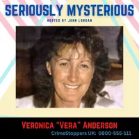Seriously Mysterious - Missing Persons, Unsolved Murders & Historical True Crime artwork