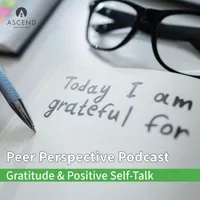 Peer Perspective artwork