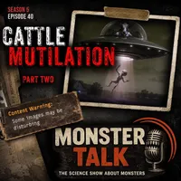 MonsterTalk artwork