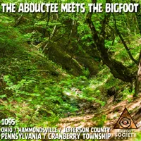 Bigfoot Society artwork