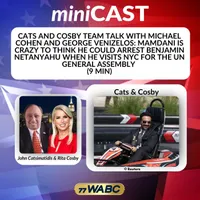 77 WABC MiniCasts artwork